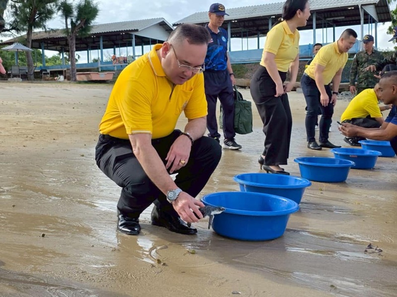 สำนักงานปลัดกระทรวงกลาโหม (สำนักพัฒนาระบบราชการกลาโหม) ในฐานะหัวหน้าคณะทำงานติดตามประเมินผลการปฏิบัติราชการกลาโหม ได้เดินทางไปติดตามความก้าวหน้าผลการดำเนินงานตัวชี้วัดของกองทัพเรือ ประจำปีงบประมาณ พ.ศ. ๒๕๖๘ ณ กองบัญชาการ กองเรือยุทธการ ฐานทัพเรือสัตหีบ อ.สัตหีบ จ.ชลบุรี