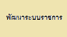 พัฒนาระบบราชการ